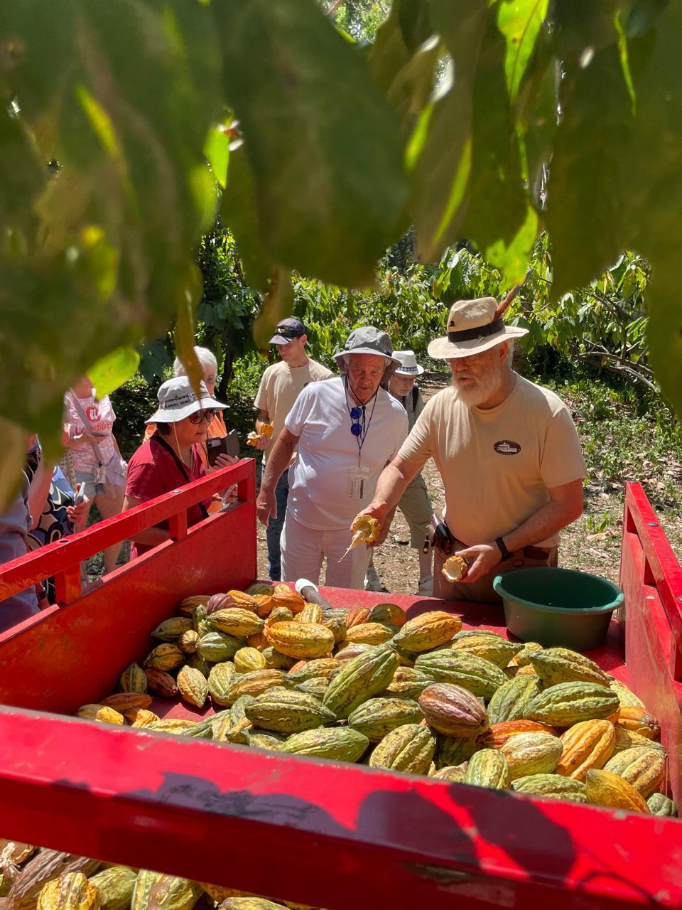 Workshop participants